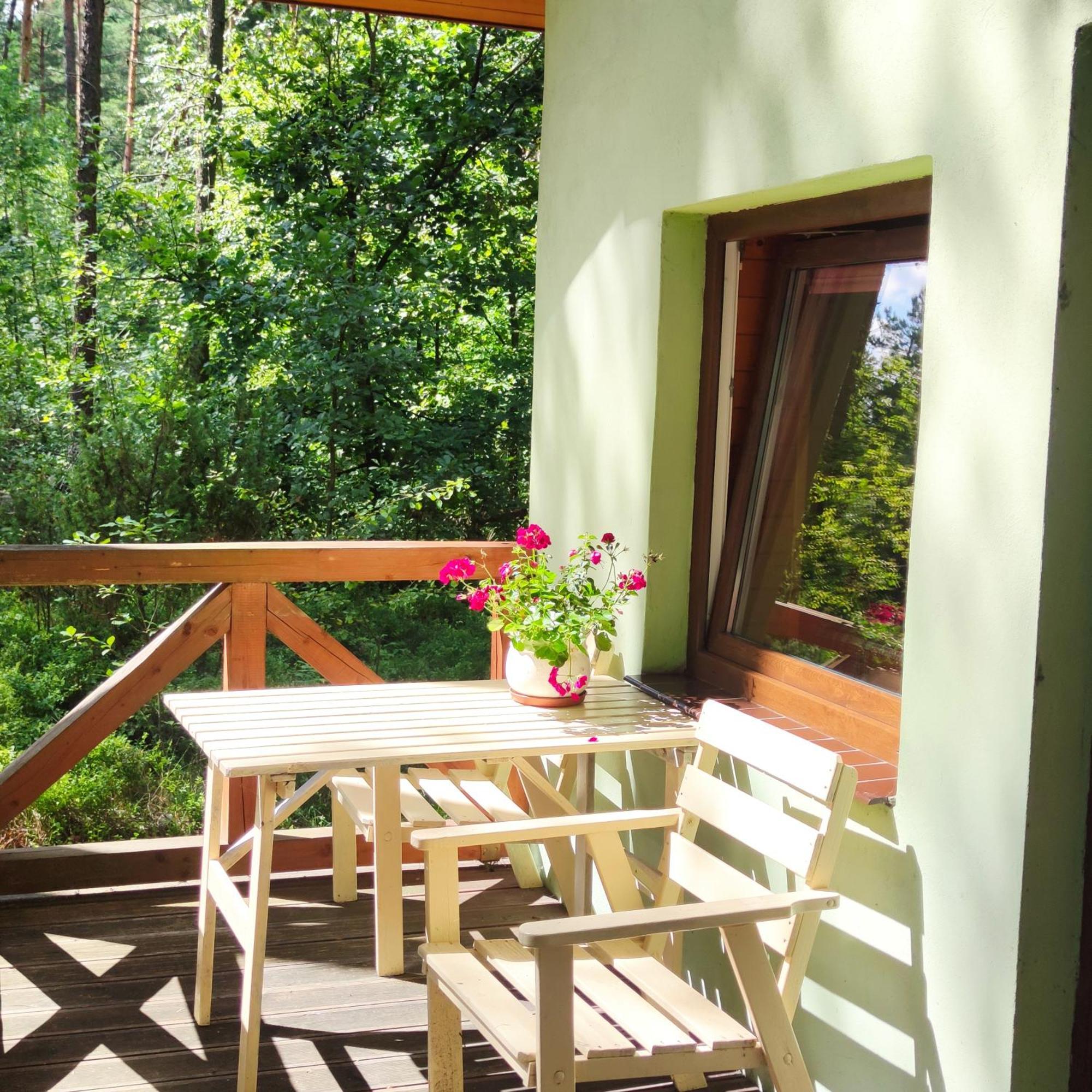 Niezapominajka-Jura Villa Niegowa Buitenkant foto